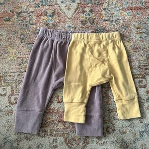 NWOT Kate Quinn Pants Bundle